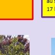 JPEG - 248.8 kio